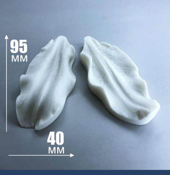 Молд силиконовый (вайнер) лепесток Лилии большой, комплект 2 шт (95•40 мм) fsl-007